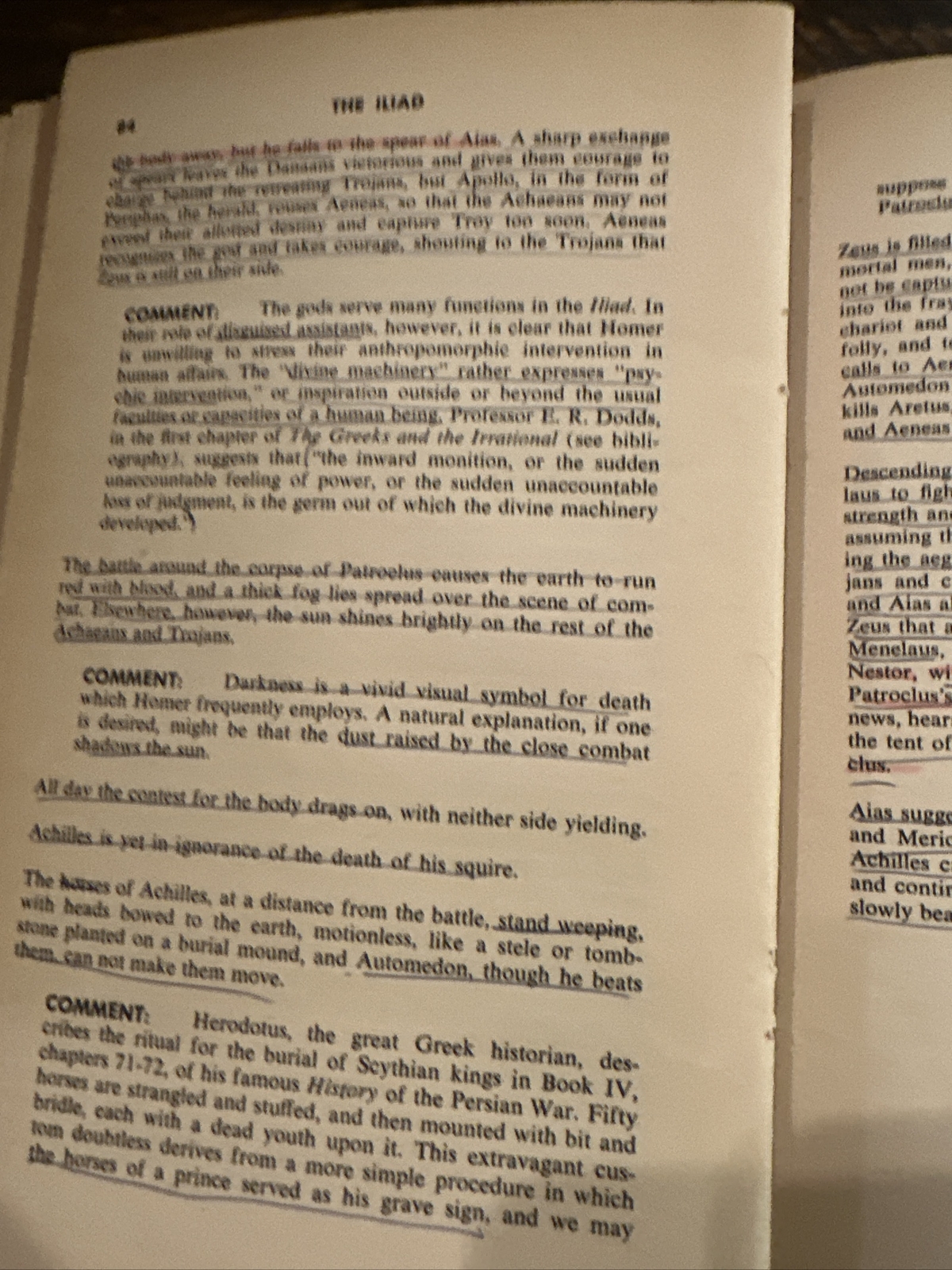 Vintage Homer’s Iliad Monarch Notes and Study Guides Test Prep