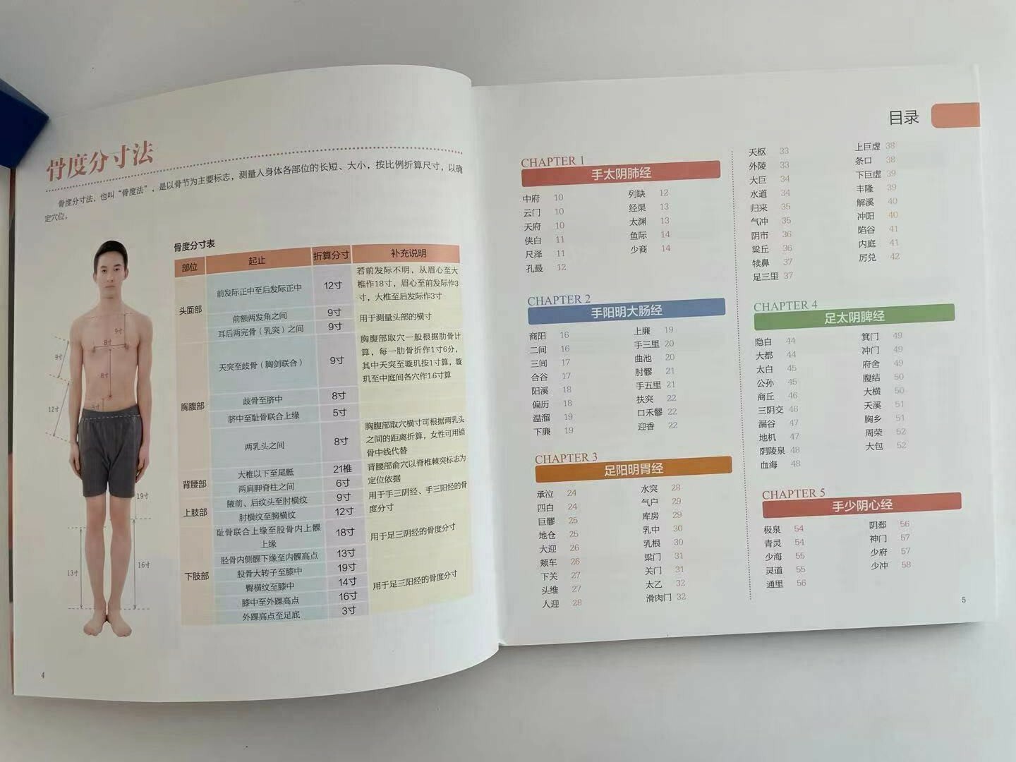 简体全中文零基础学会快速取穴 Learn to pick acupoints quickly in Chinese