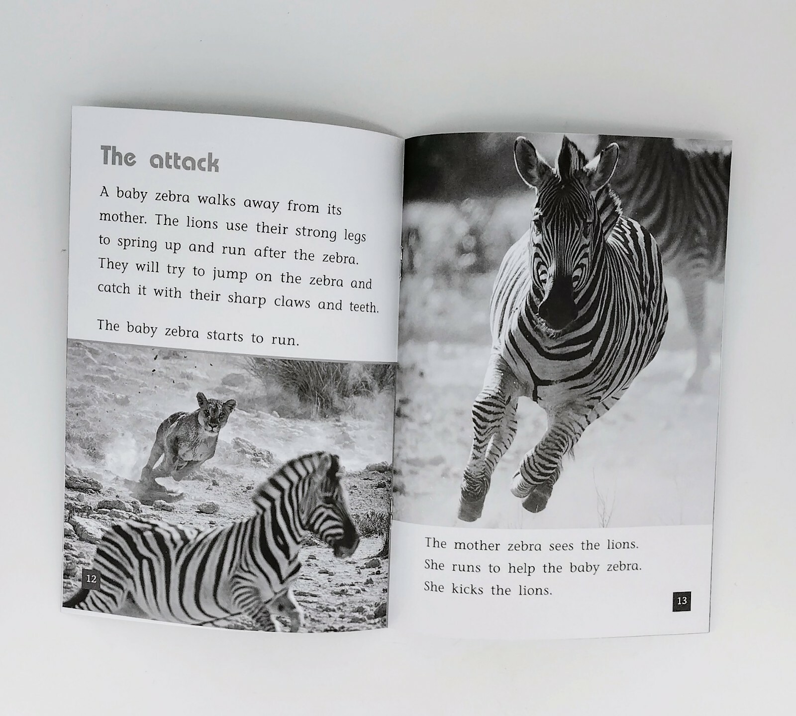 Flying Start To Literacy MultiPack When Lions Hunt/Rory’s Dance