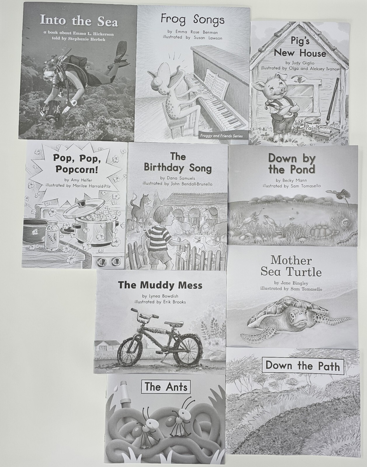 Fountas & Pinnell Blue System 10 Book Lot LLI Grade 2 Leveled Take Home Readers