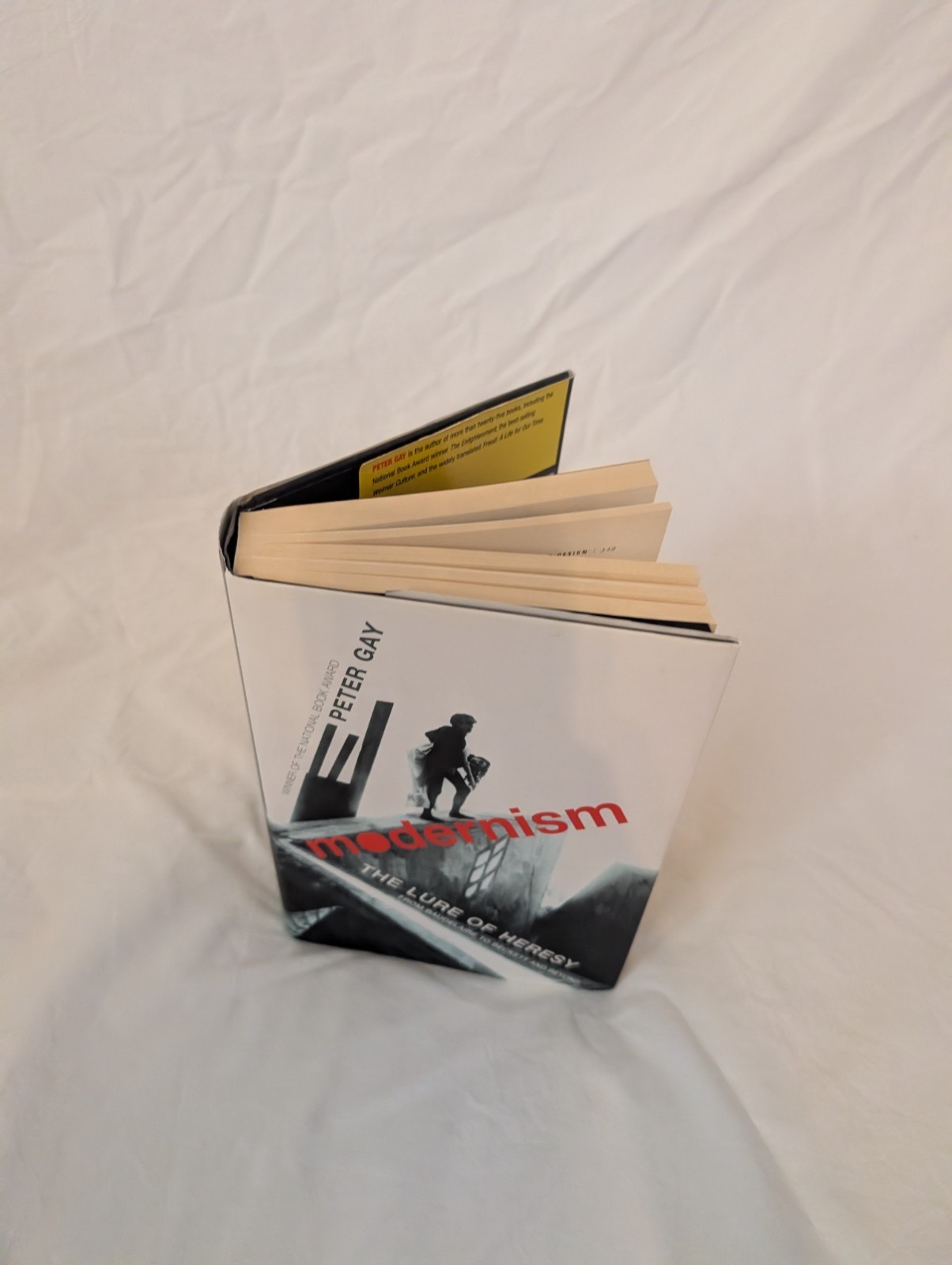 Modernism: The Lure of Heresy – From Baudelaire to Beckett Hardback Book