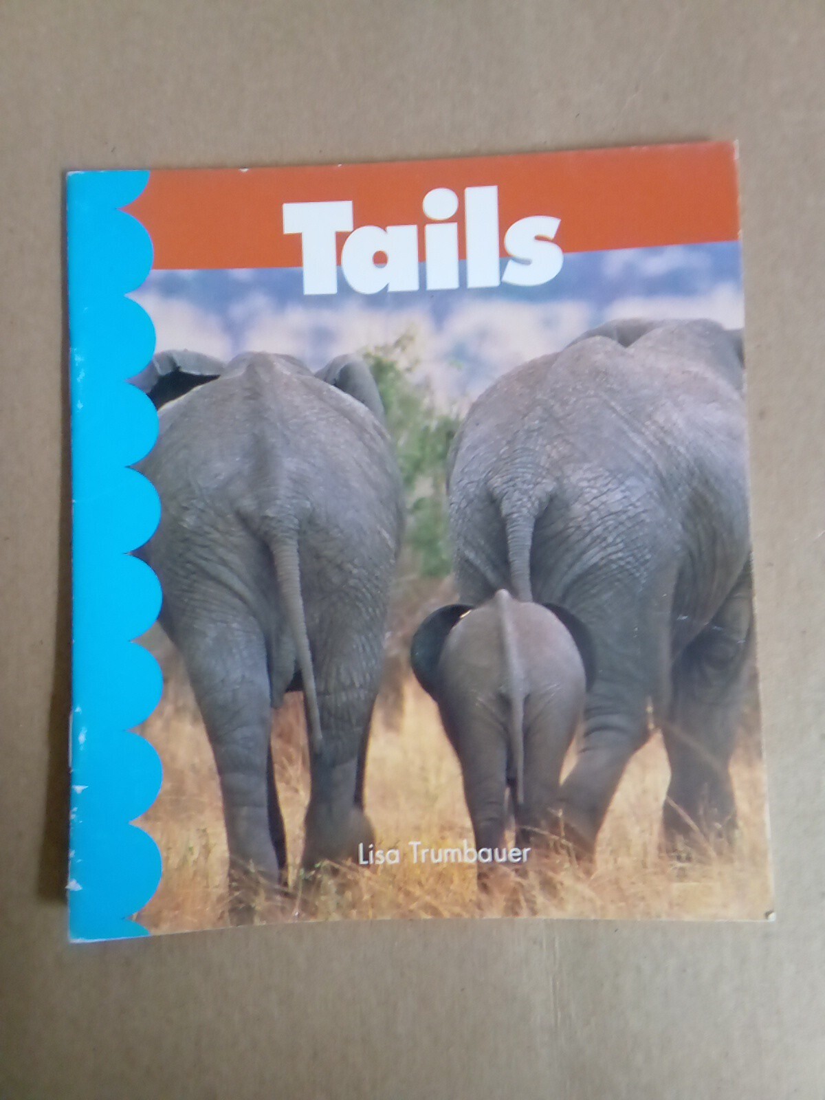 Tails By Lisa Trumbauer