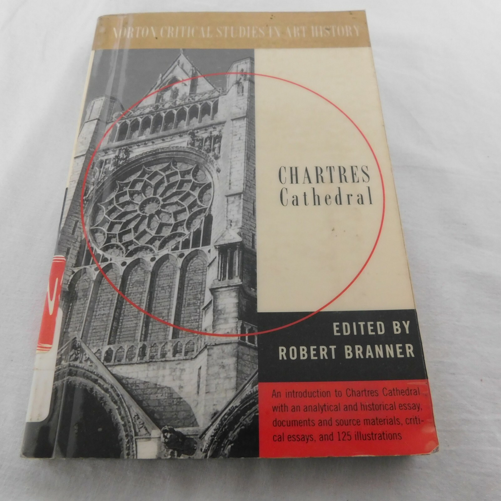 Norton Critical Studies Art History Chartres Cathedral 1969 PB 1996 EX LIBRIS