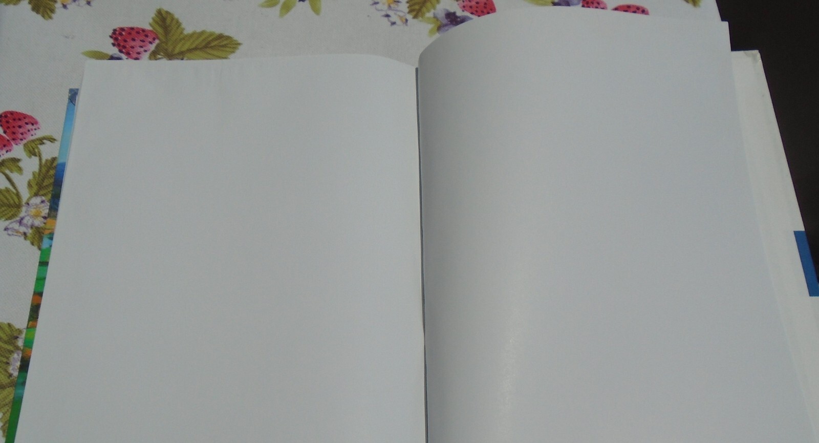 The Bedford Reader Fourteenth Edition by X. J. Kennedy Hardcover