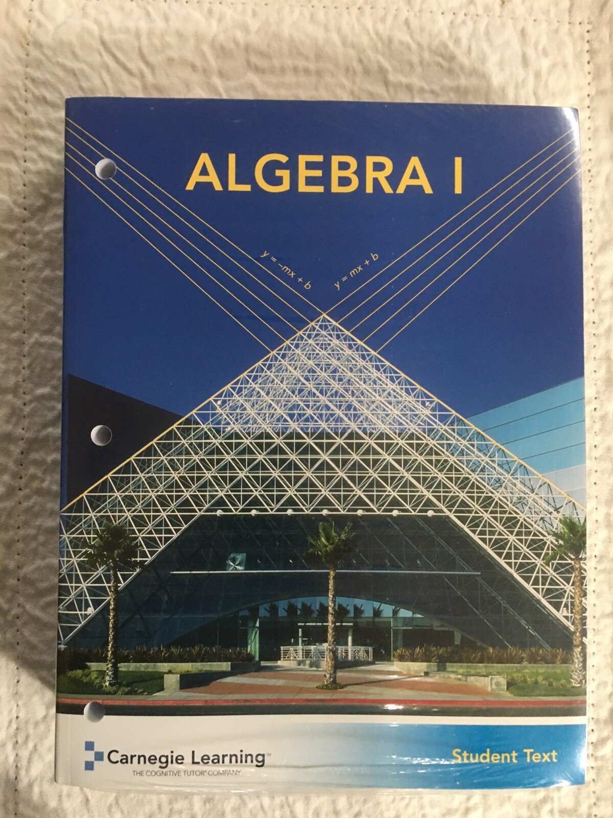 Algebra I Student Textbook by Carnegie Learning – 3 book set