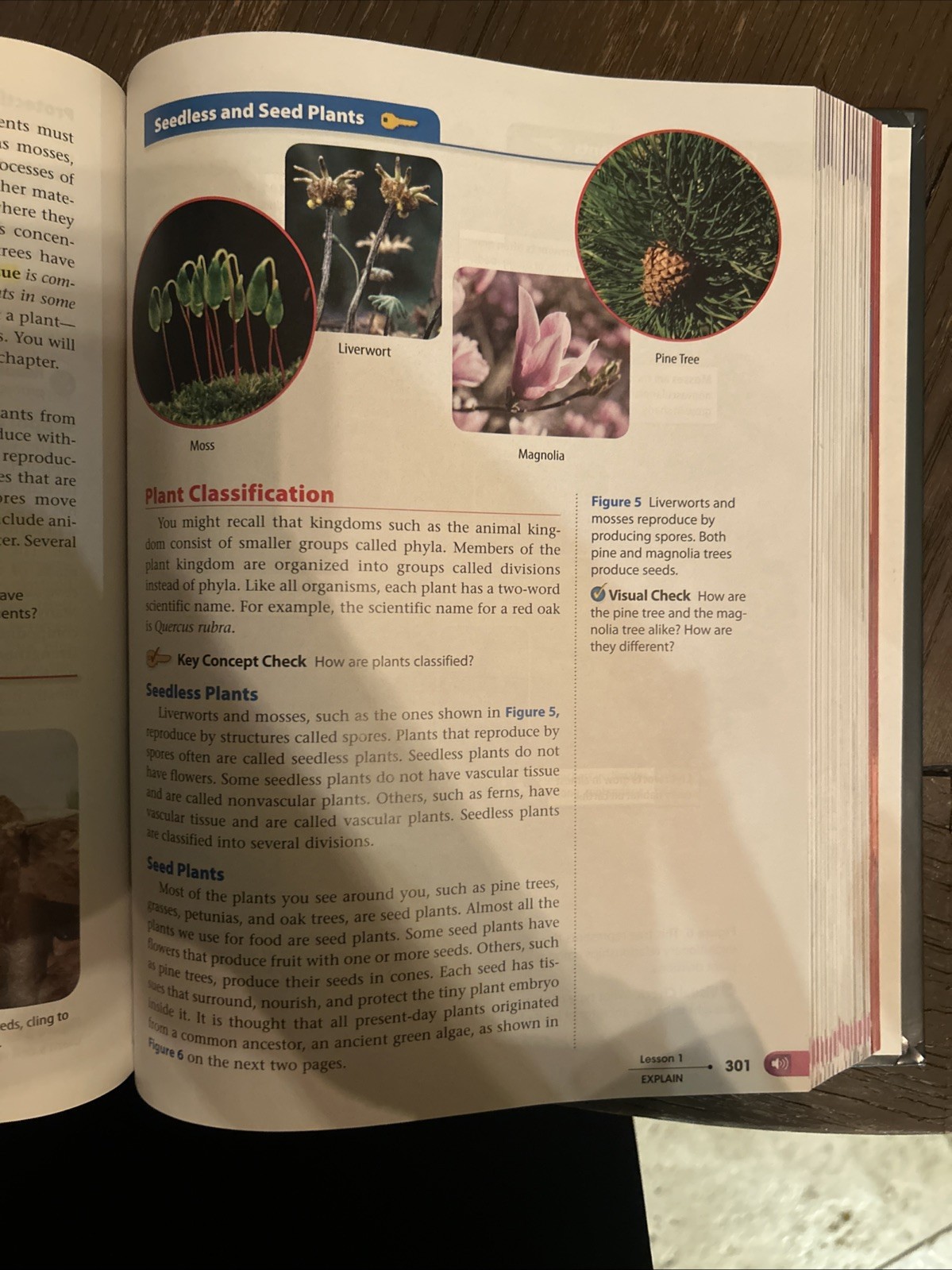 Glencoe Life iScience–Student Edition (LIFE SCIENCE) by McGraw-Hill – Hardcover