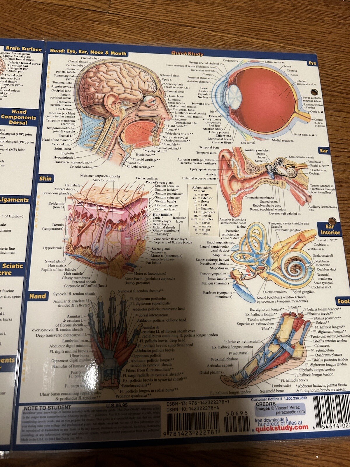 BarCharts Quick Study Academic Guide BIOLOGY & Anatomy Bundle Review Homeschool