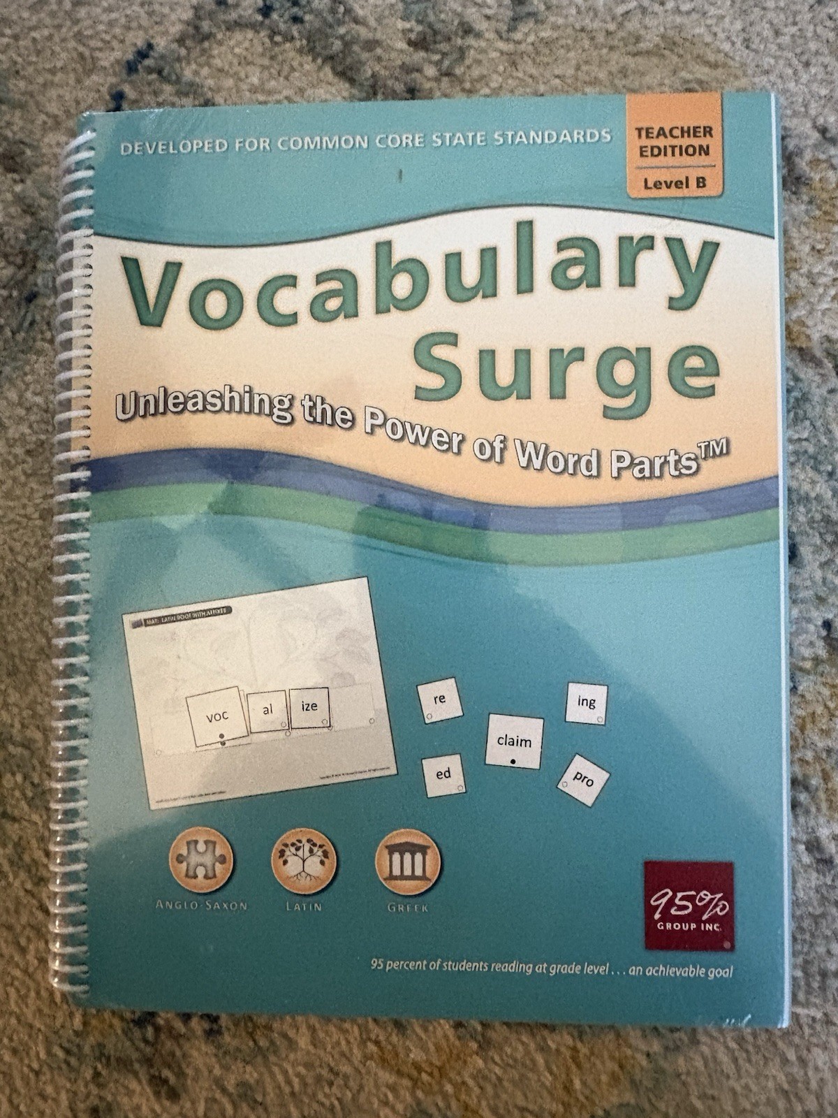 *95% Percent Group Vocabulary Surge Teacher’s Edition Level B Book