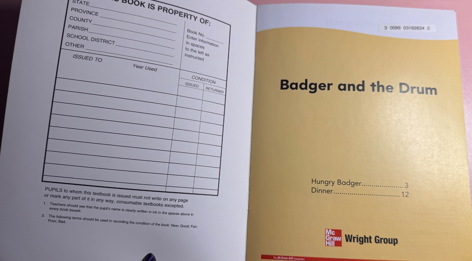 Wright Group Lead 21 Decodable Reader 29 Badger And The Drum Marianne White