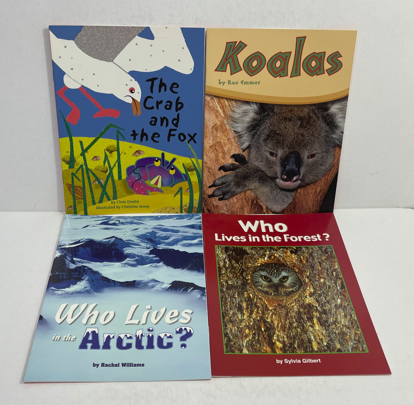 Lot of 72 Books + Teacher’s Guide Kaleidoscope B Leveled Readers Package Grade 3
