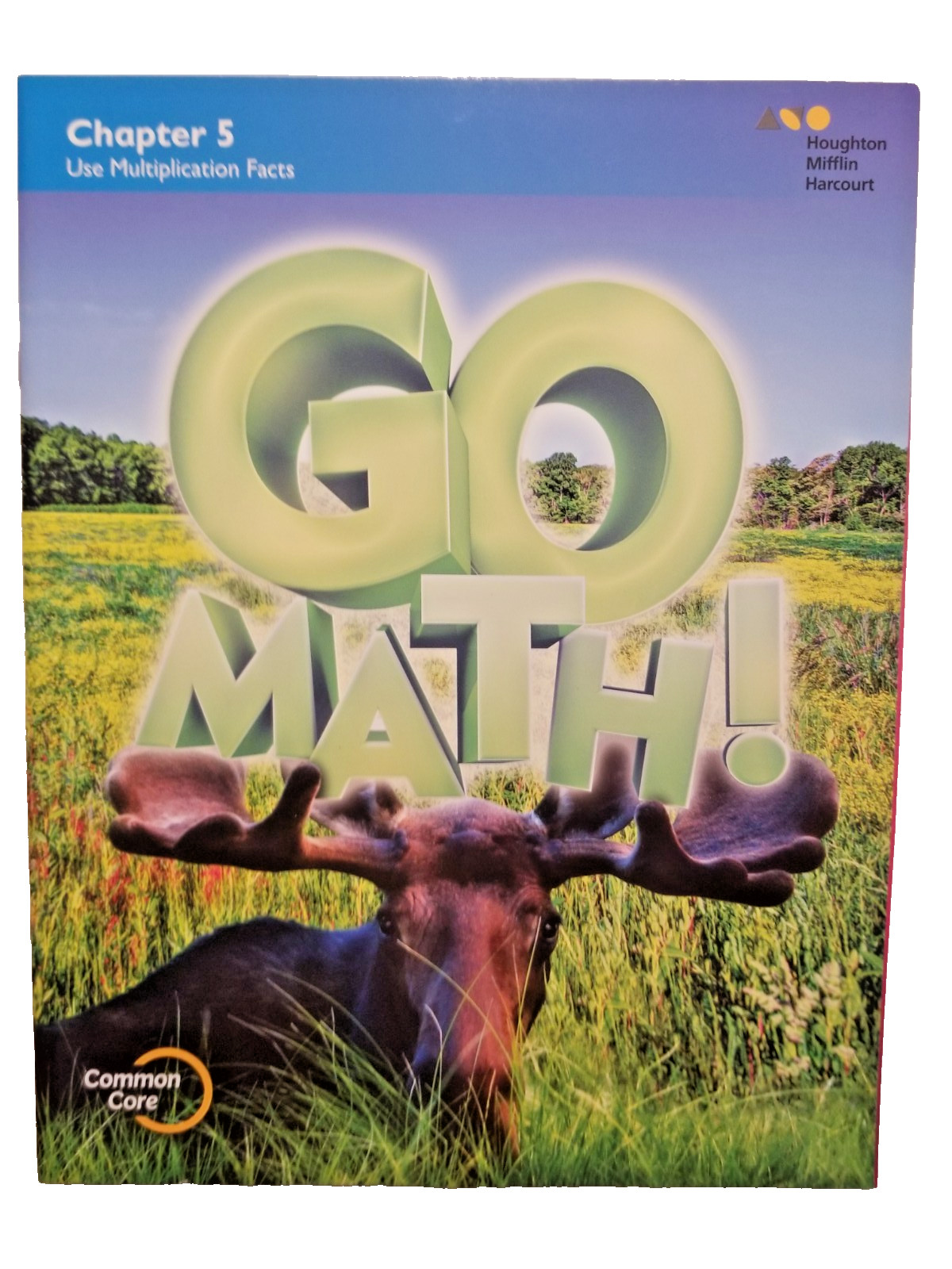 Go Math ! Grade 3 Multipication & Divison Workbooks Learning 3 Homeschooling