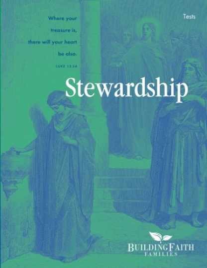 Stewardship Test – Paperback, by Demme Steven – Very Good