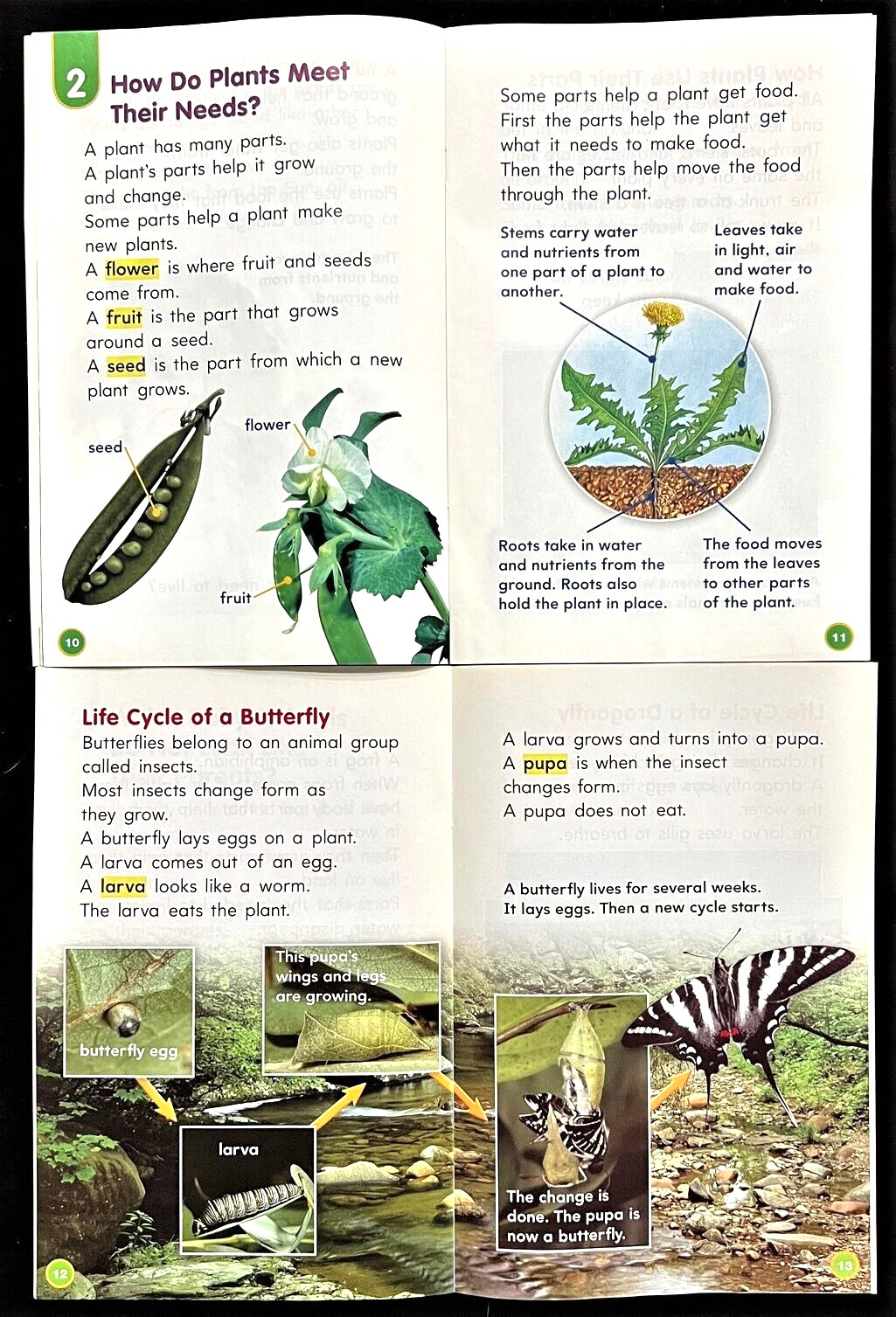 3rd – 4th Grade – SCIENCE SUPPORT READERS (6 books) (2006, Houghton Mifflin)