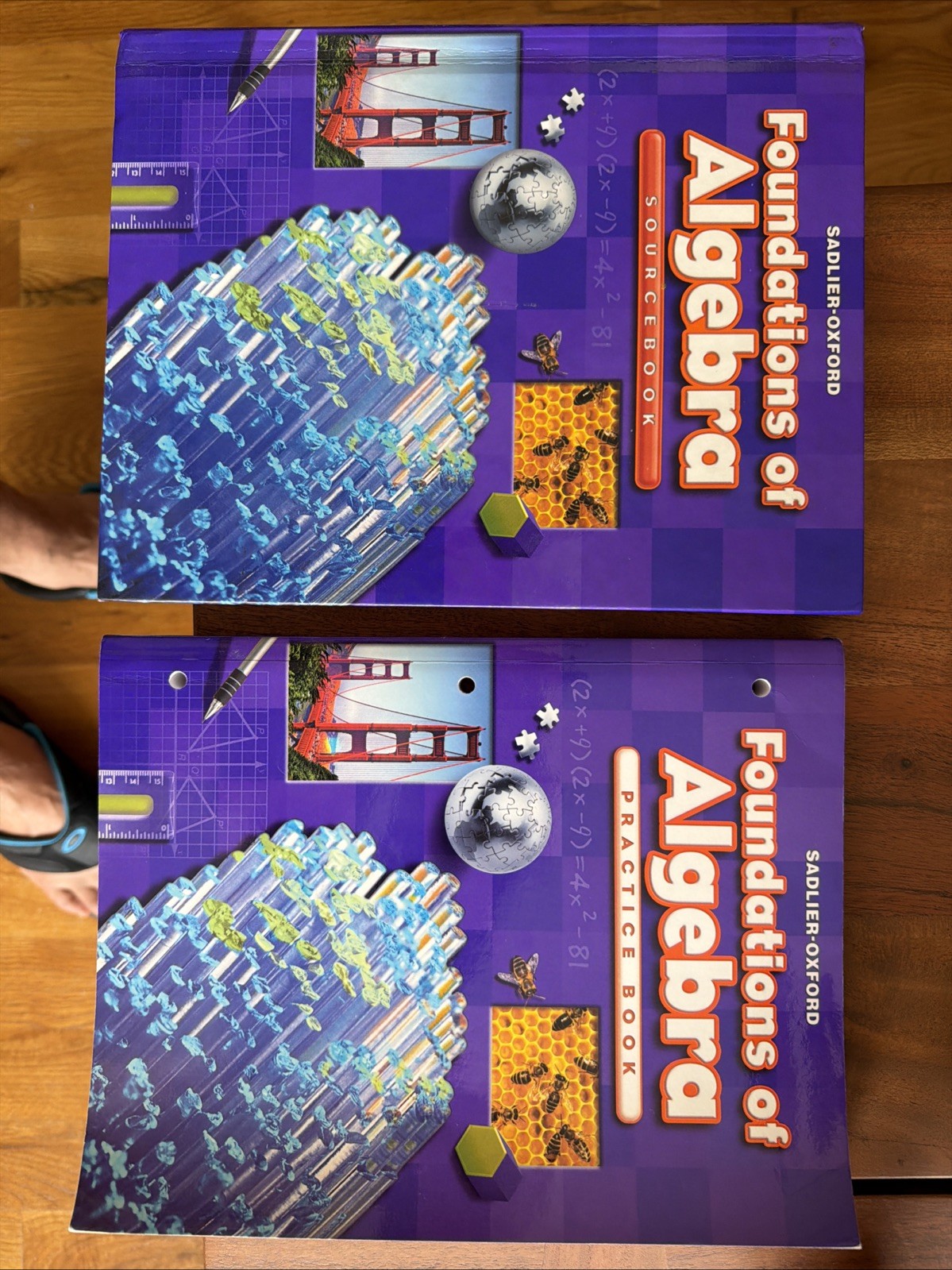 Foundations Of Algebra II Sourcebook And Practic Book/Sadlier-Oxford. Hard Cover