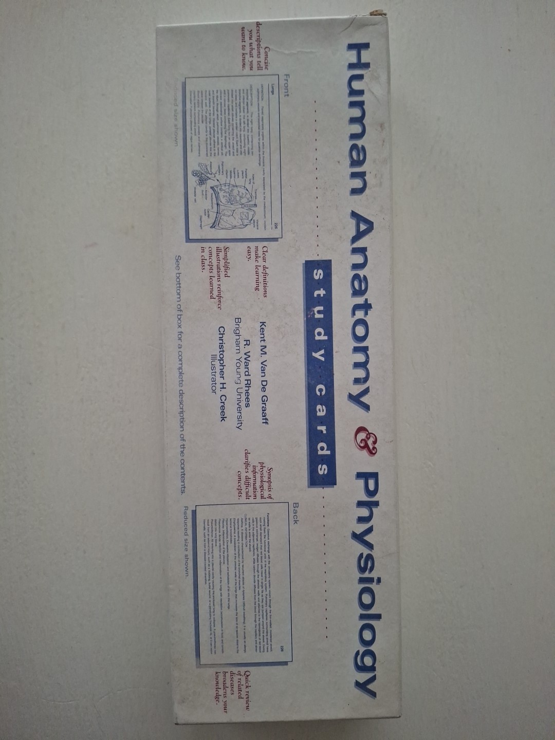 Human Anatomy And Physiology Study Cards Good Condition