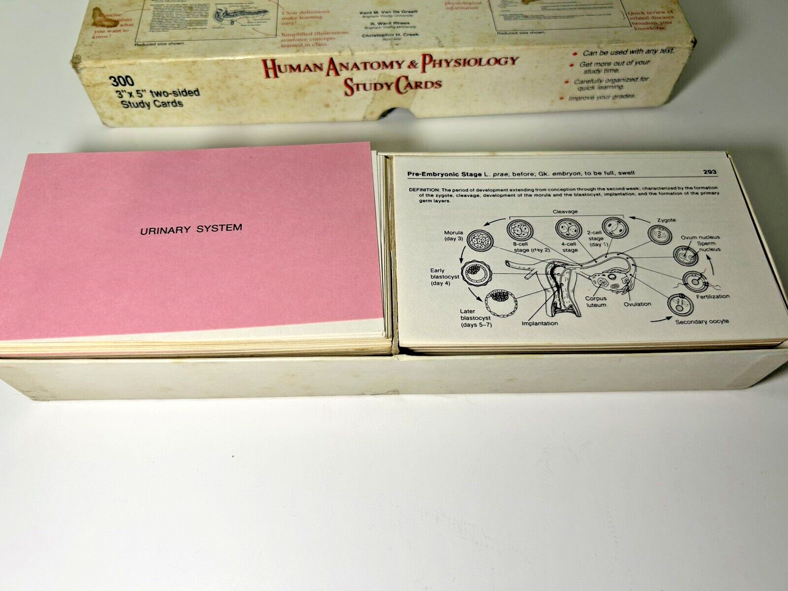 Human ANATOMY & PHYSIOLOGY Study Cards- 300 CARDS VGC-PREOWNED