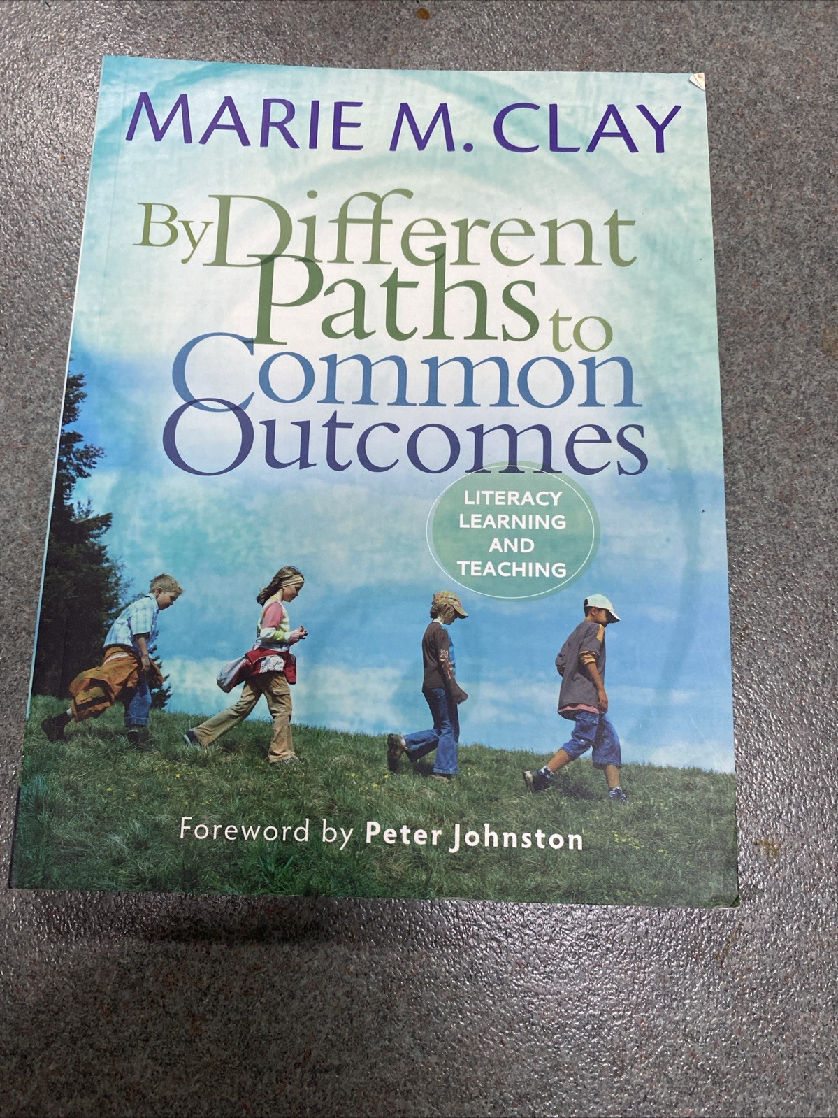 By Different Paths to Common Outcomes by Marie M. Clay (2014, Trade Paperback)