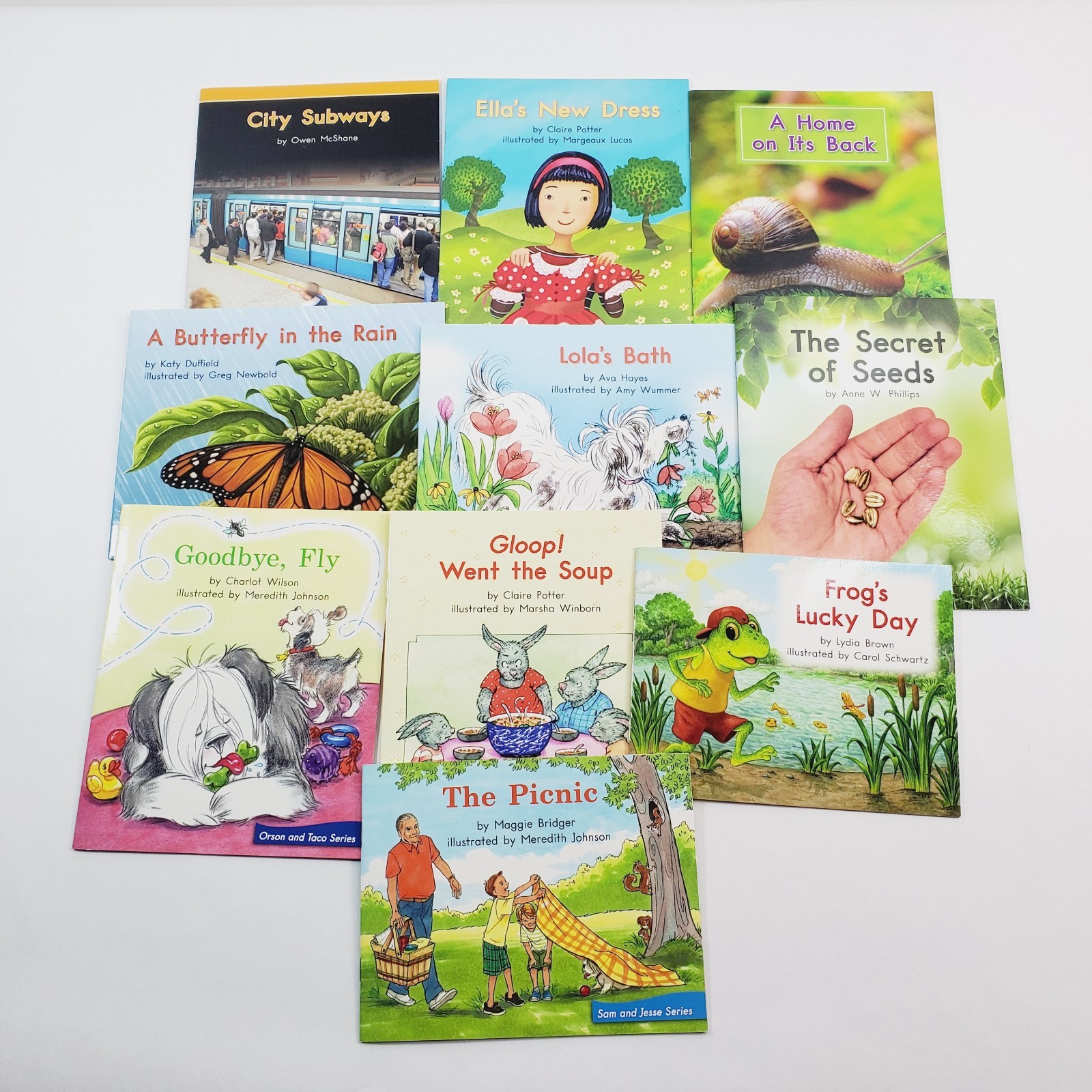 Lot of 10 Fountas & Pinnell LLI Orange System Level E Leveled Readers Grade K
