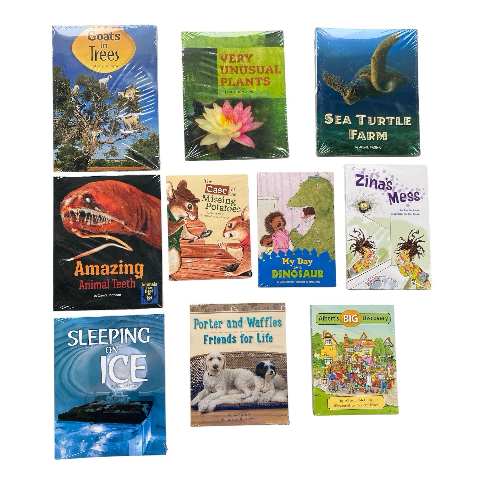 Fountas & Pinnell 2N2 Grade 2 Level N Set 2 Heinemann 60 Books