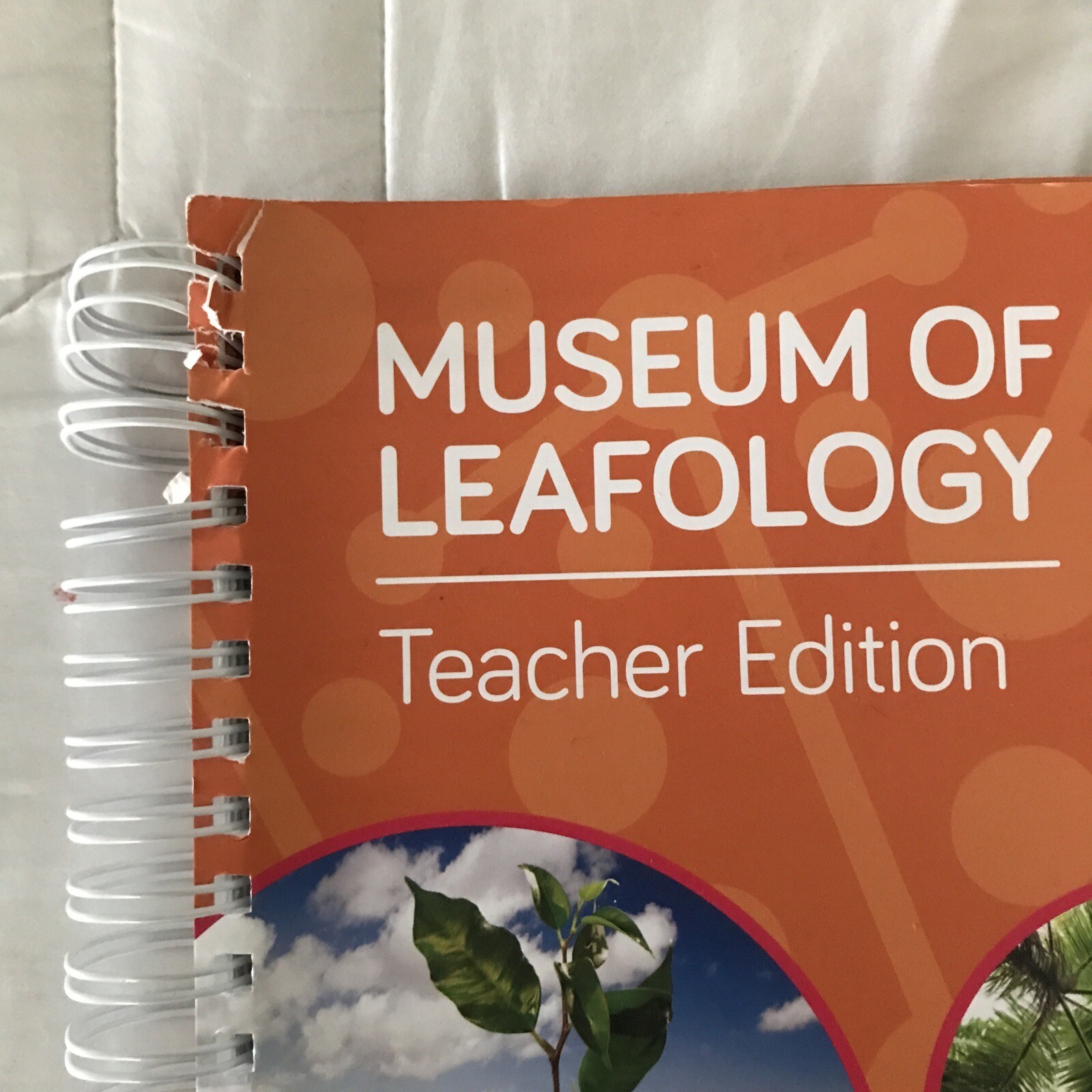 Museum of Leafology Teacher Edition Science Module 1 Grade 1 Twig Education Inc