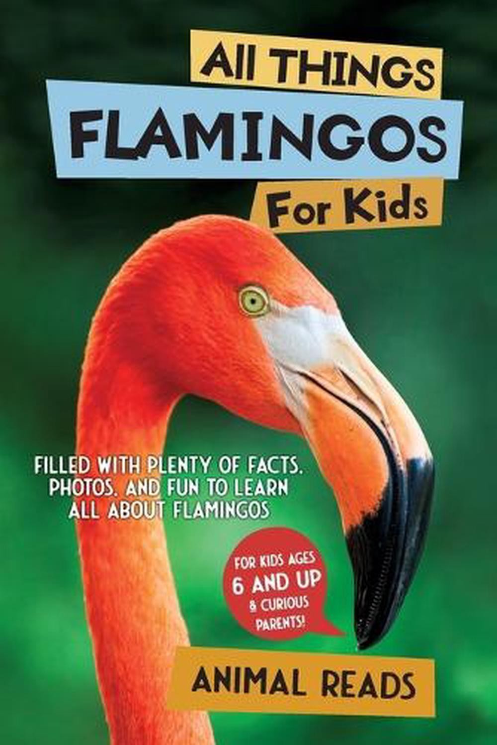 All Things Flamingos For Kids: Filled With Plenty of Facts, Photos, and Fun to L