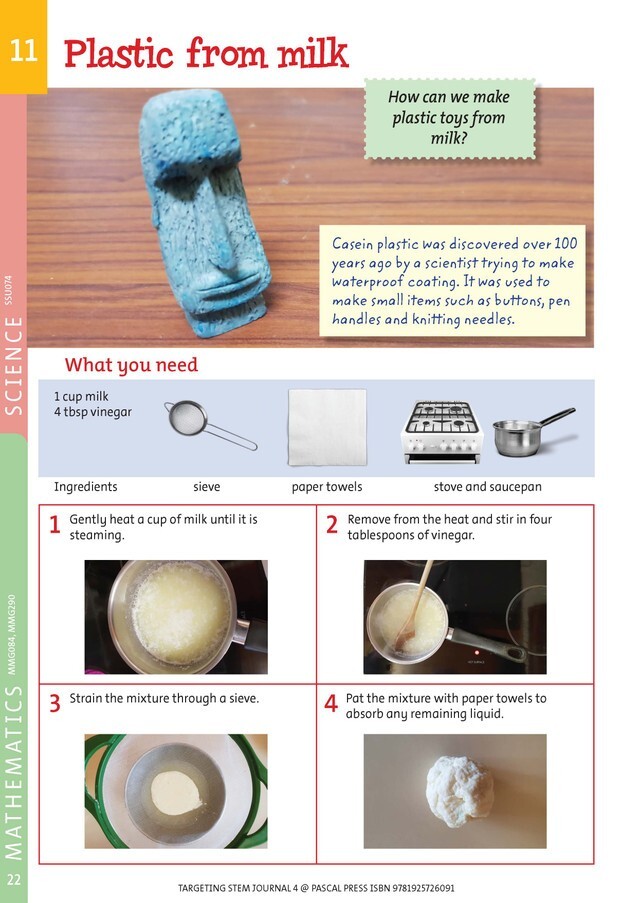 Targeting STEM (Science, Technology, Engineering, Mathematics) Journal Year 4