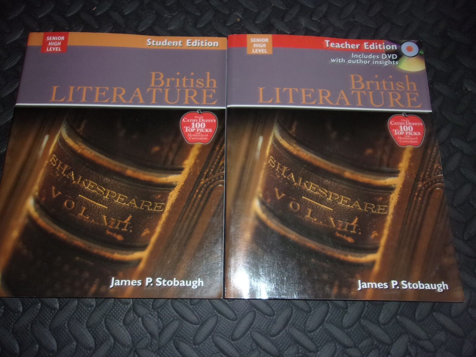 BRITISH LITERATURE Encouraging Thoughtful Christian High School Stobaugh SET DVD