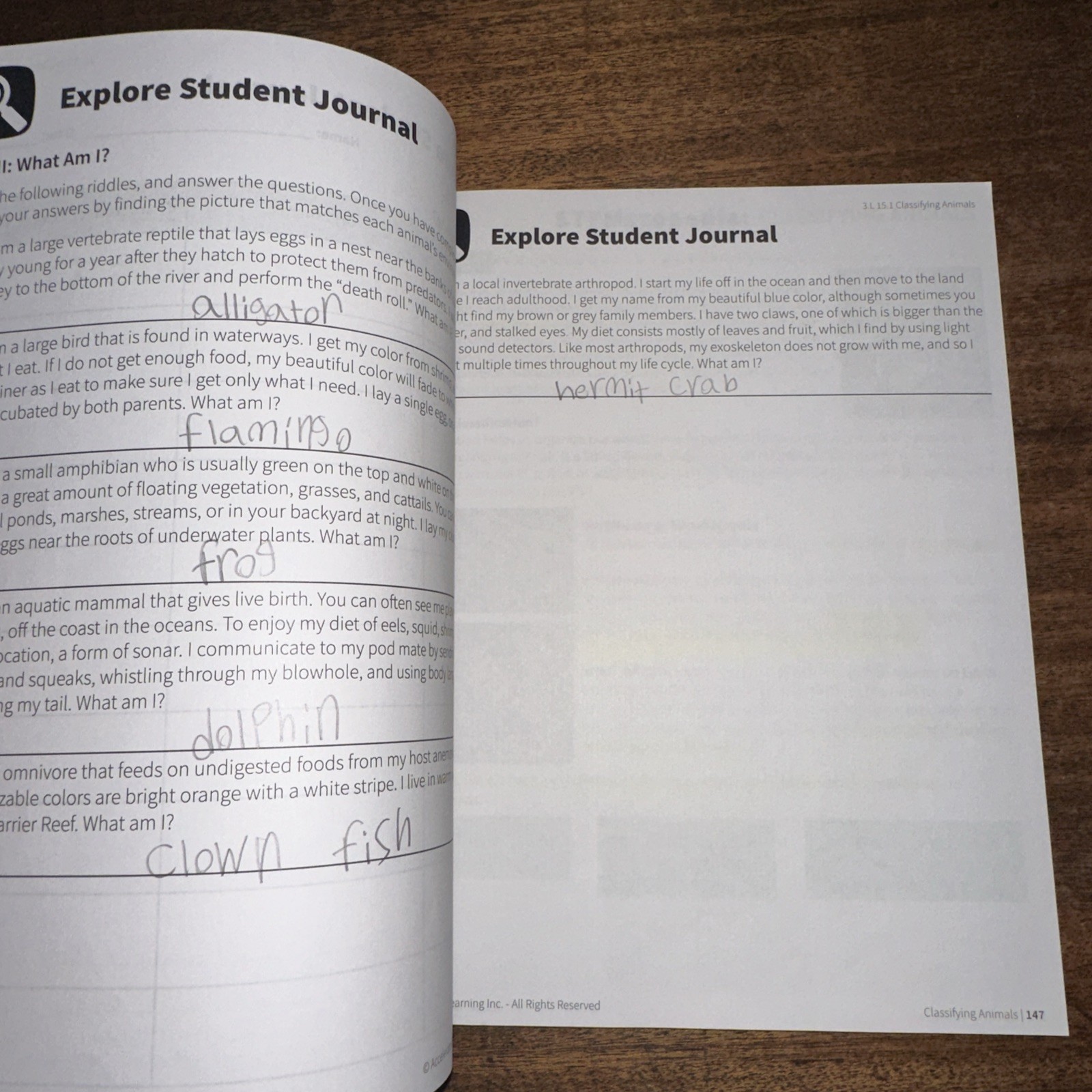 STEMscopes Florida Student Notebook, 3rd Grade Workbook Paperback PRE OWNED