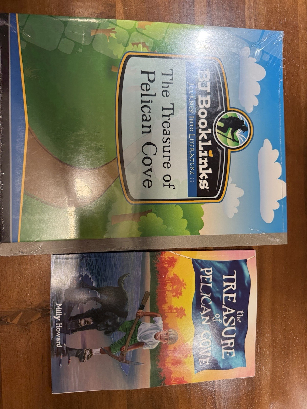 The Treasure Of Pelican Cove Book And BJ Booklinks Craft