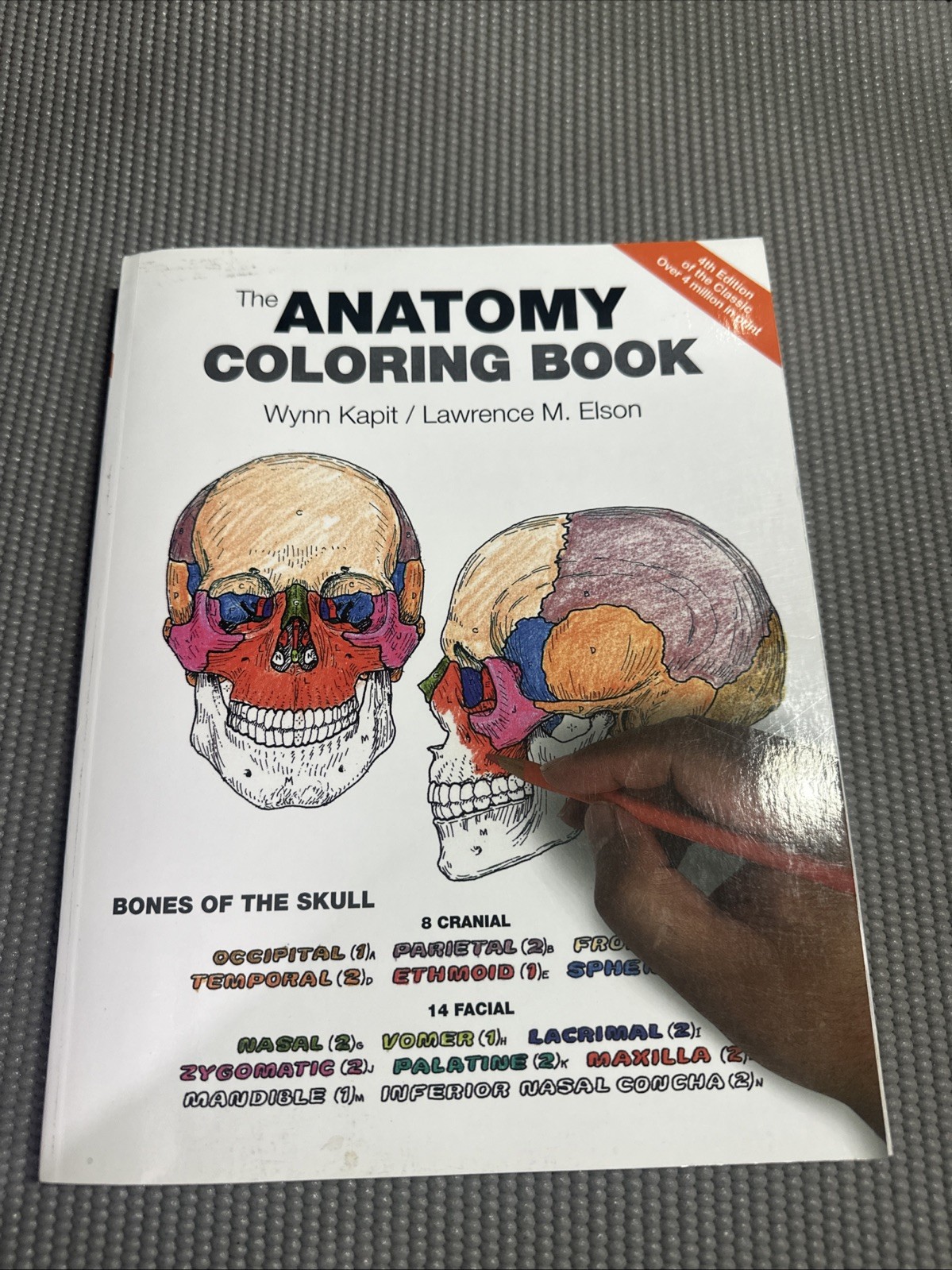 The Anatomy Coloring Book – 4th Edition