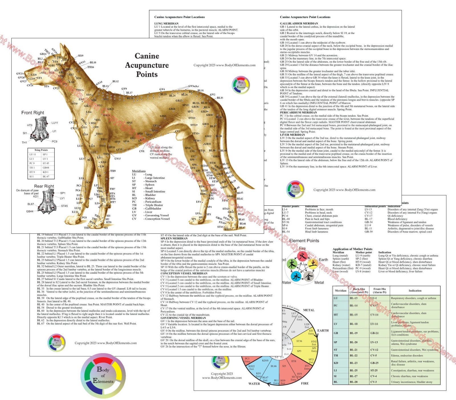 Dog Acupuncture Chart Set 8.5″ X 11″ Canine Acupressure Points Reference