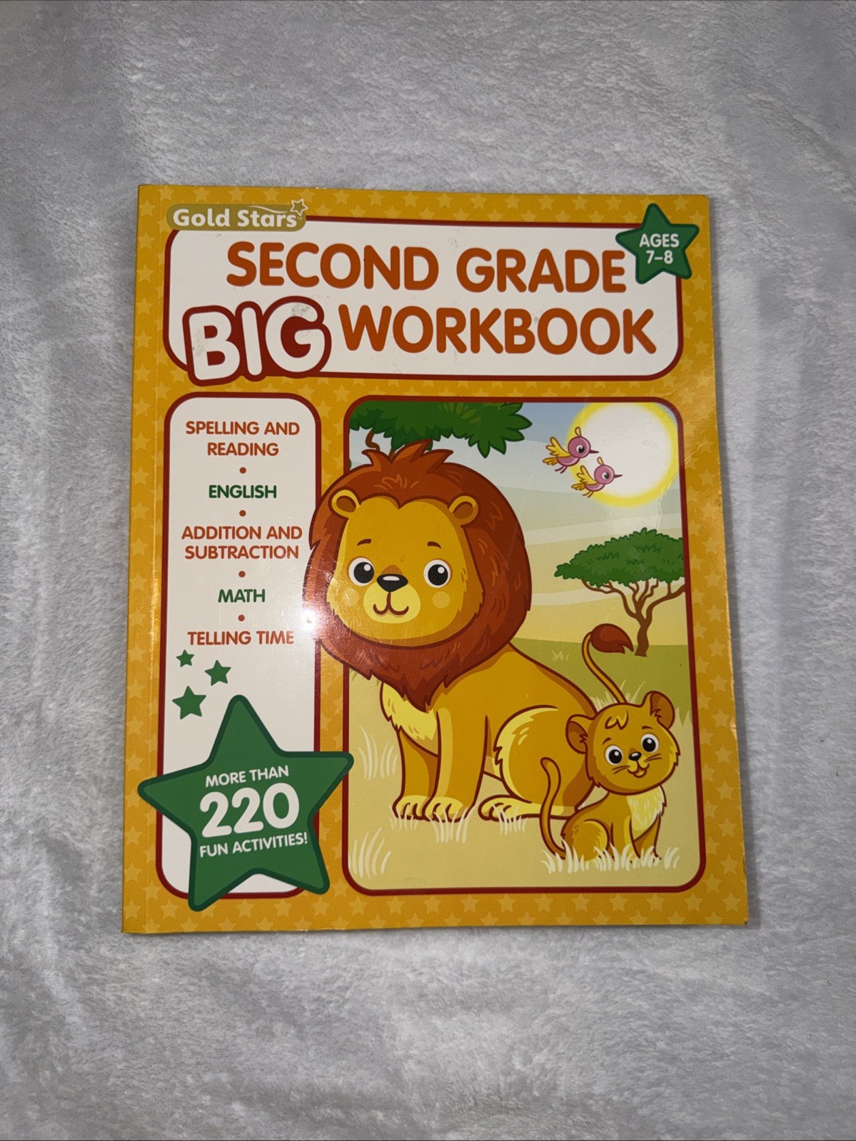 Gold Stars Second Grade Big Workbook Ages 7-8 Spelling Reading Answers Missing