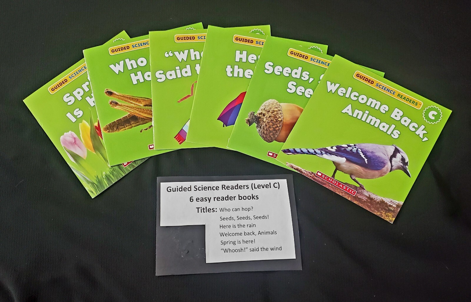 Guided Science Readers Level C Fun Nonfiction Books beginning homeschool class