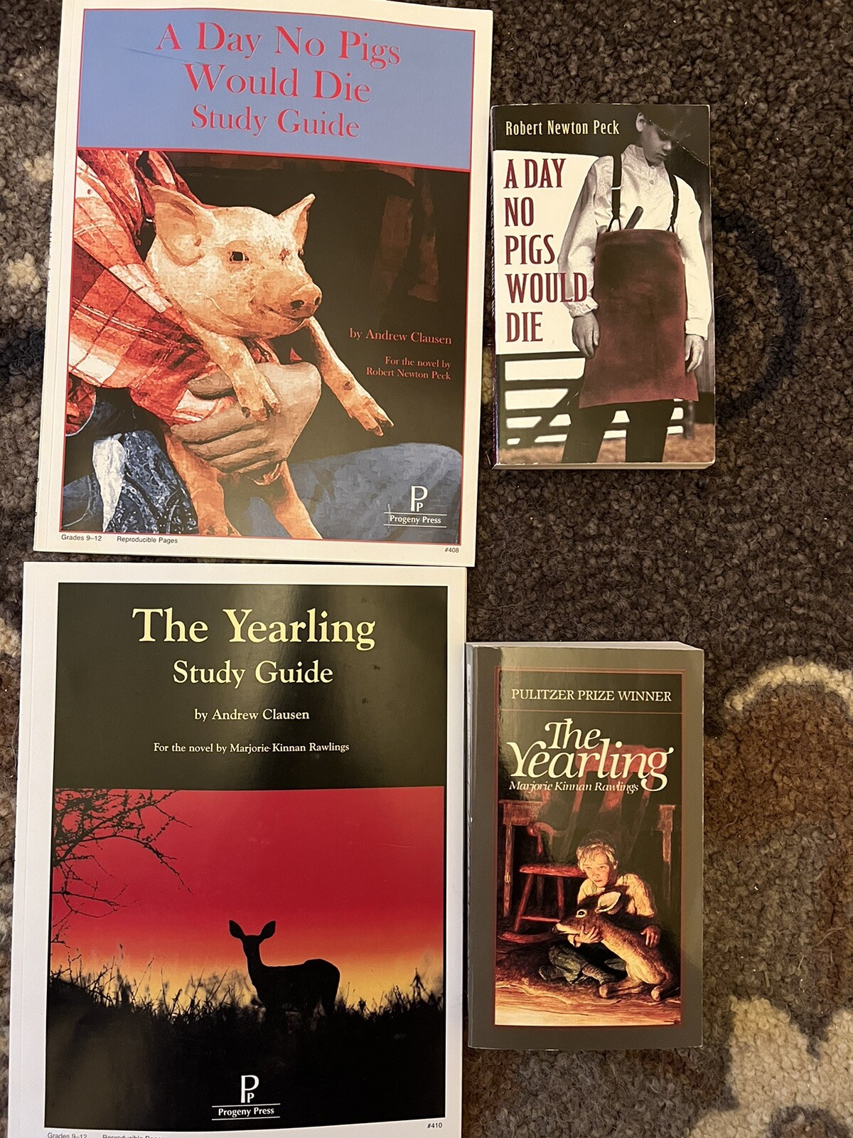 Literature Guides and Books