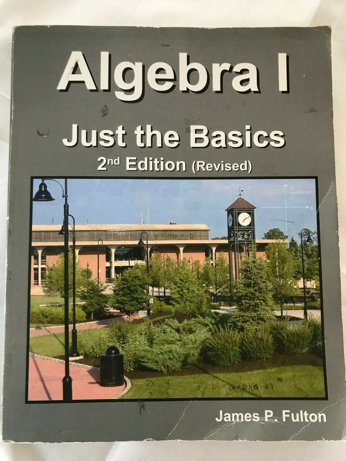 ALGEBRA I Just the Basics 2nd Edition (Revised)