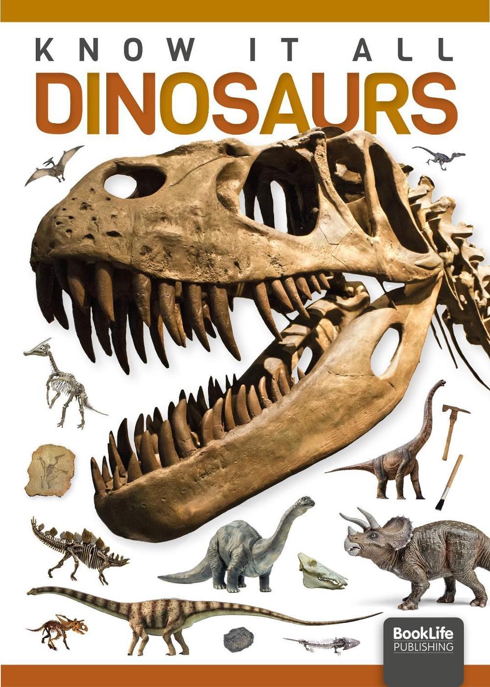 Dinosaurs by Louise Nelson (English) Hardcover Book