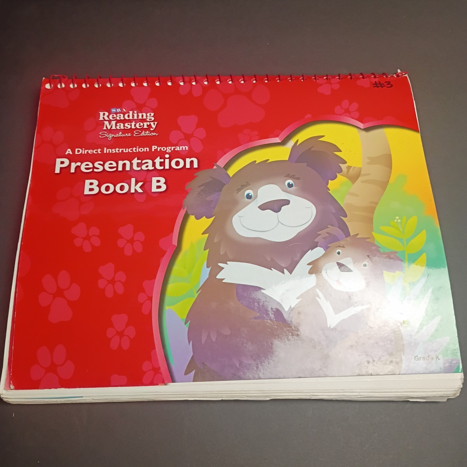 Reading Mastery Reading/Literature Strand Grade K, Presentation Book B