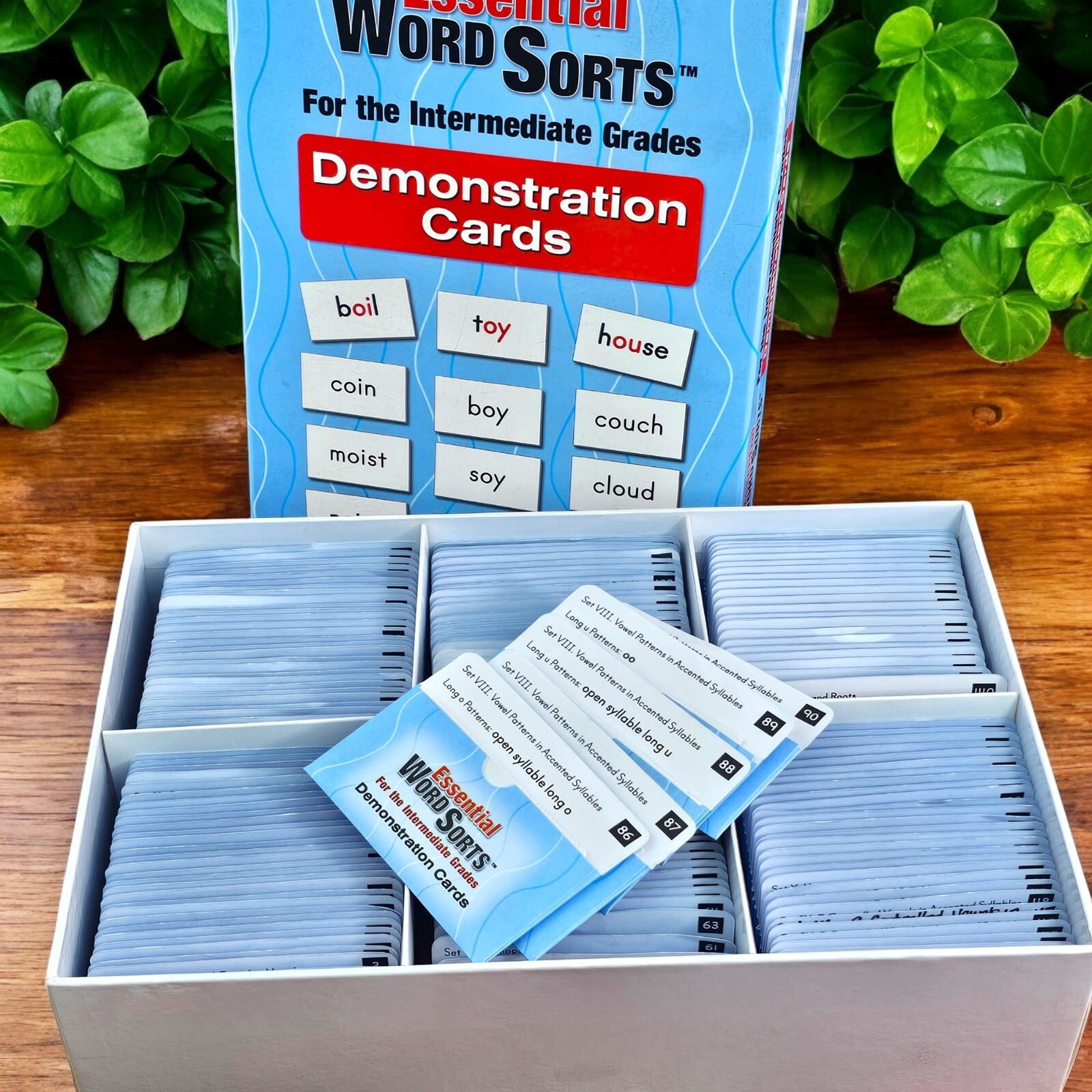 Essential Word Sorts Demo Cards Intermediate Grade Really Good Stuff Home School