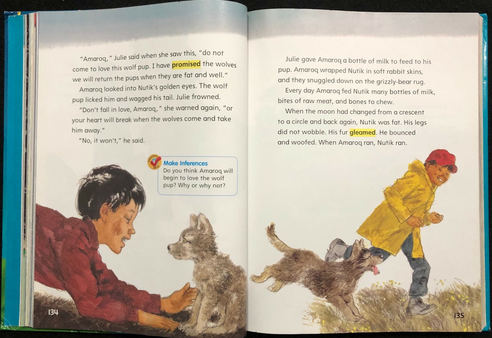 2nd Grade – TREASURES – Reading/Language Arts Curriculum, Level 2.2 (1 book)