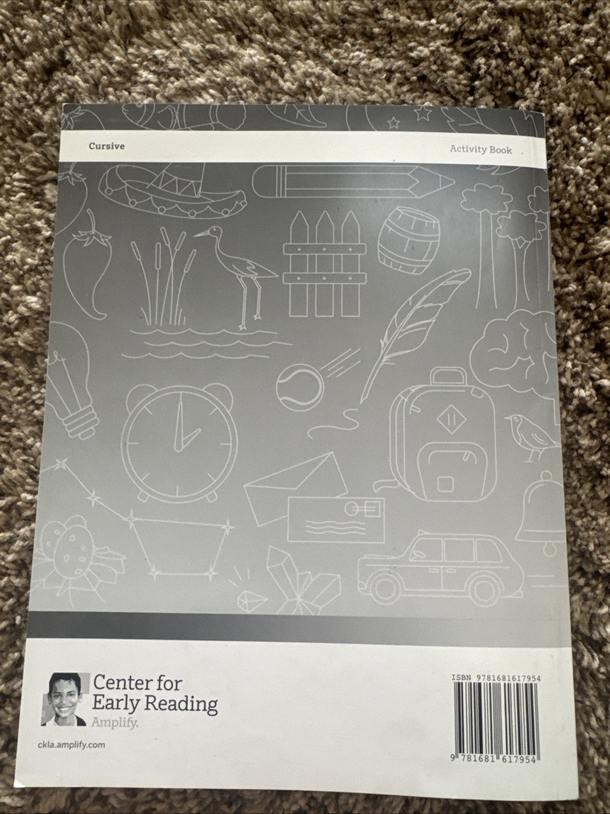 Amplify Core Knowledge Language Arts, Cursive, Activity Book GR 5
