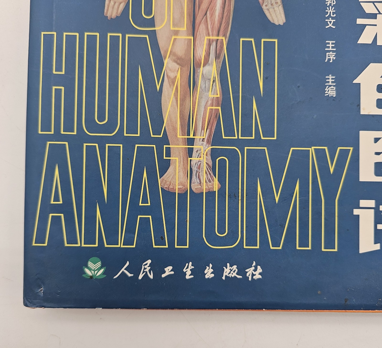 Colour Atlas Of Human Anatomy Book Double Languages English Chinese Nurse Doctor
