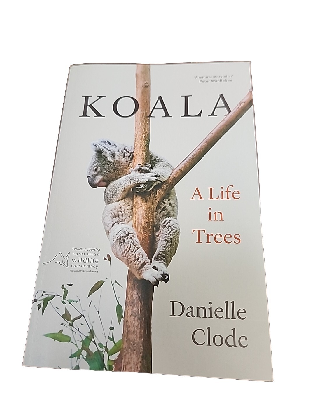 Koala: A Life in Trees by Danielle Clode