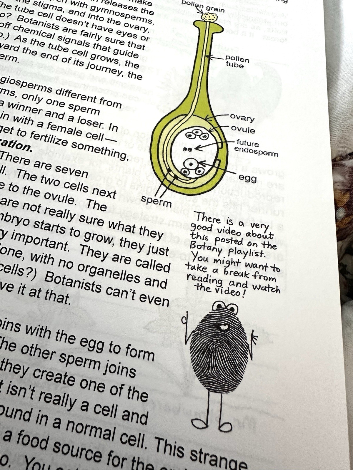 Botany in 8 Lessons; Student Text – Author Published Ellen Johnston McHenry New