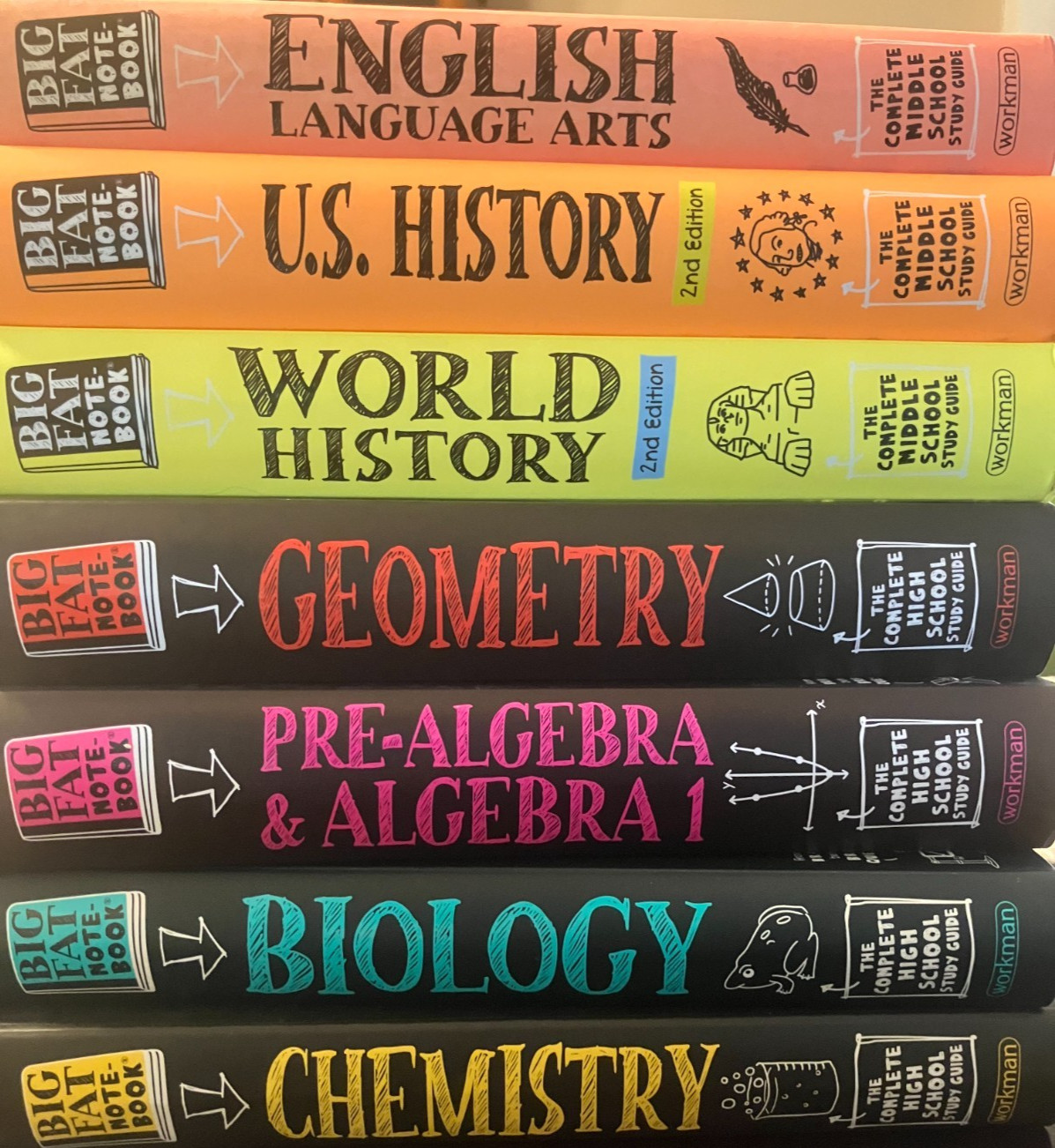 Lot of 7 Big Fat Notebooks-English, History, Geometry, Algebra, Bio & Chemistry