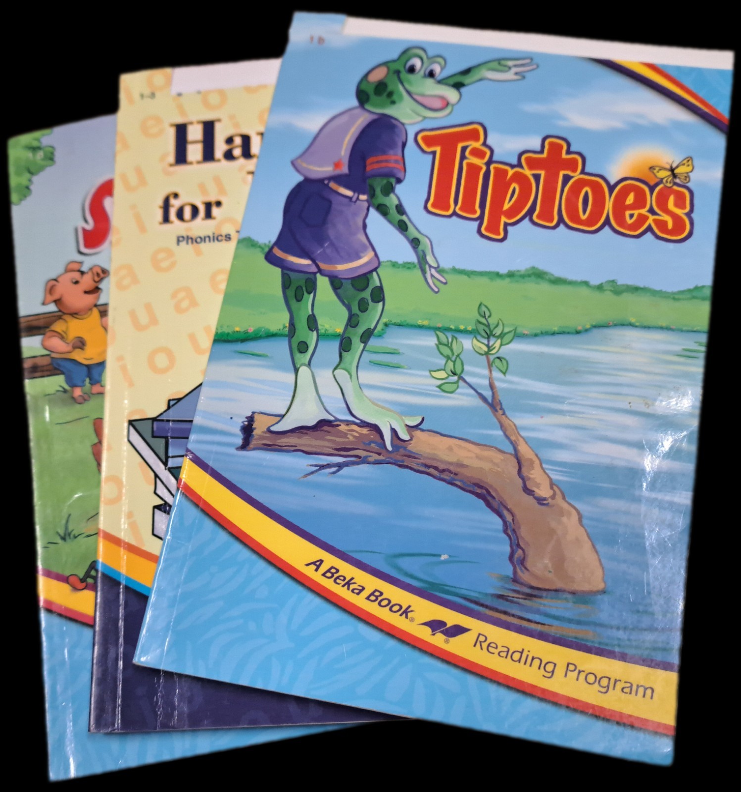 A Beka 1st grade Homeschool Tiptoes Handbook for Reading Secrets & Surprises GUC