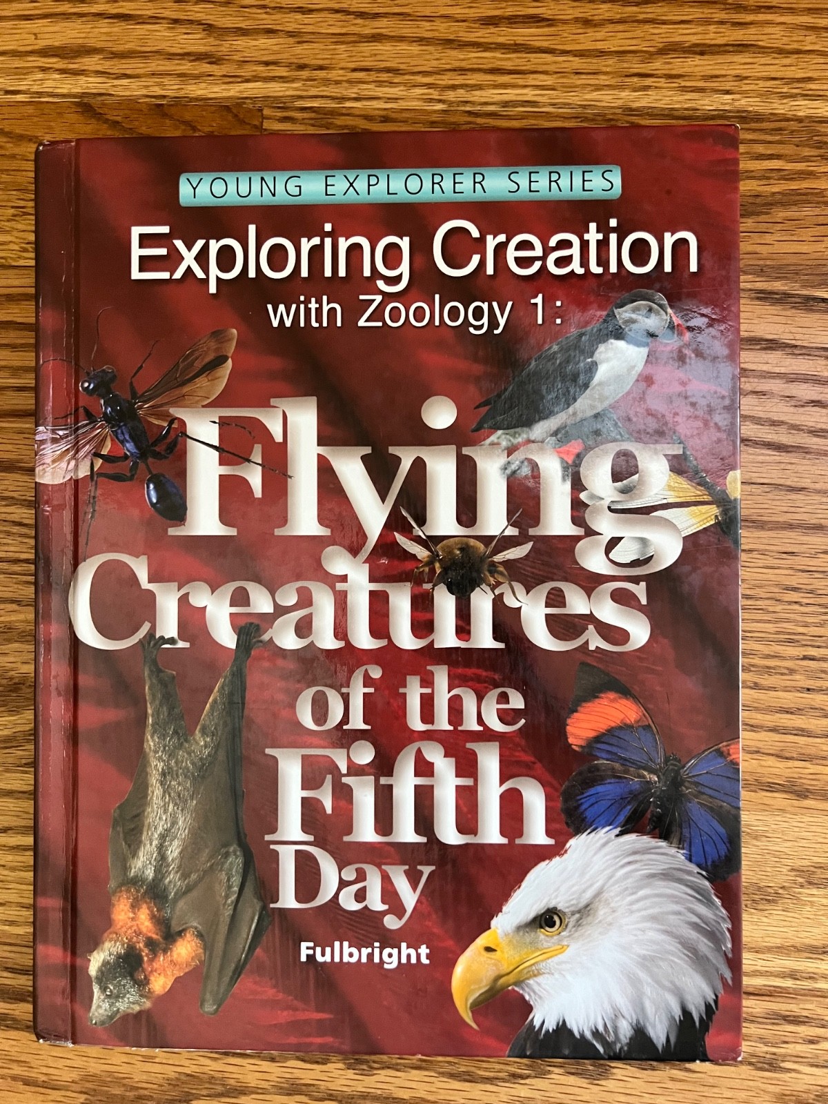 Apologia Exploring Creation with Zoology 1: Flying Creatures of the Fifth Day