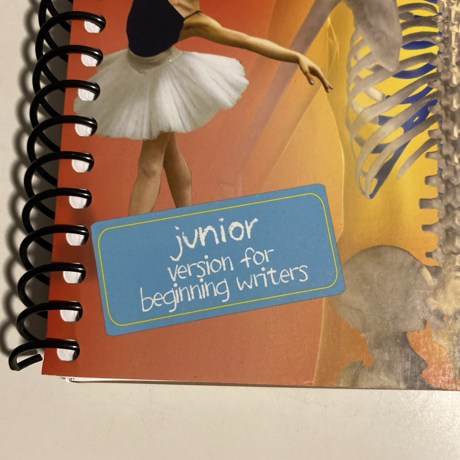 Exploring Creation with Human Anatomy and Physiology: Junior Notebooking Journal