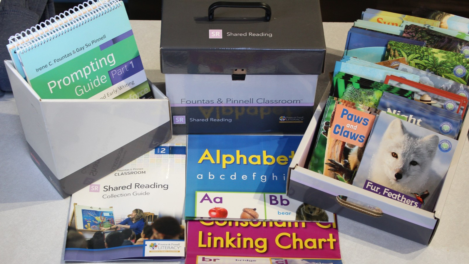 Fountas & Pinnell Classroom Grade 2 Reading Literacy 86 book Guided Lesson Plan