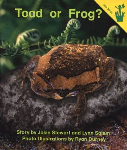 Early Reader: Toad or Frog – Paperback By Josie Stewart – GOOD