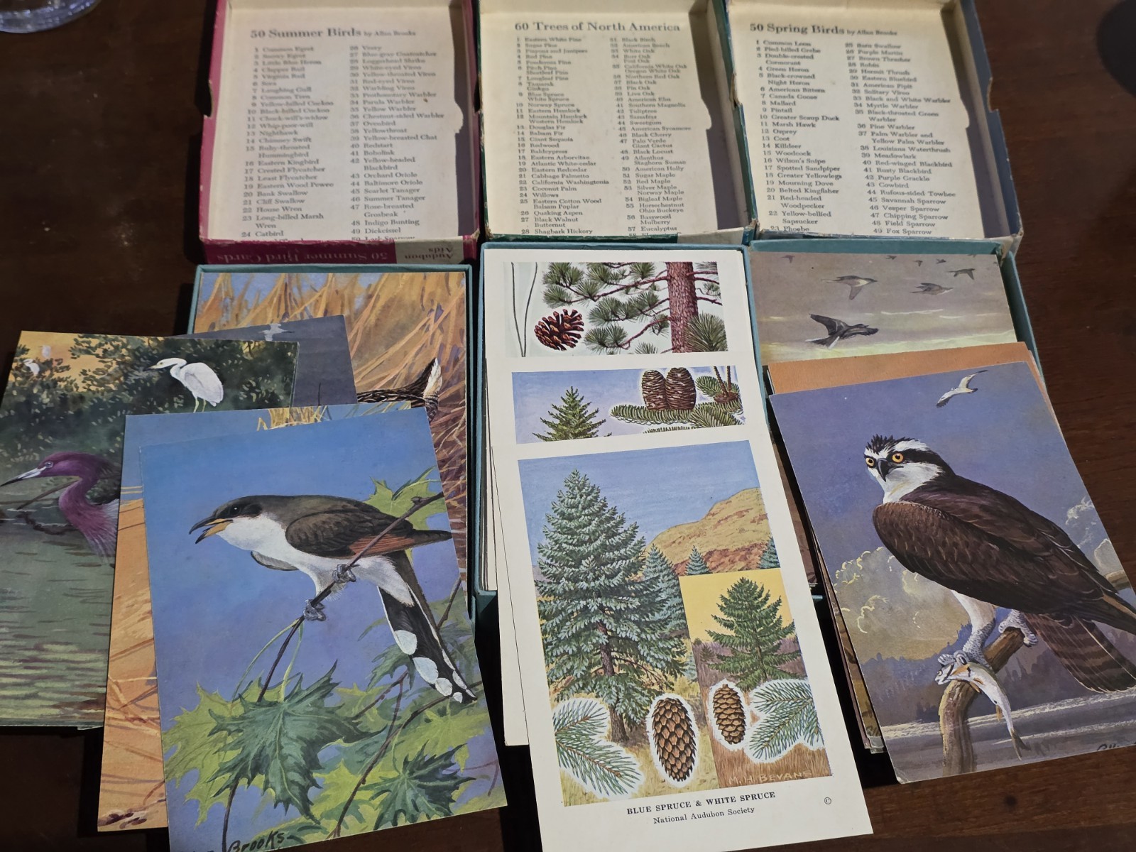 Vintage 3x Audubon Aid Card Sets 1970 1971: Spring Birds, Summer Birds, Trees